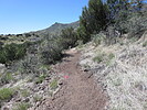 photo thumbnail #3