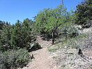 photo thumbnail #5