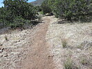 photo thumbnail #10