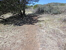 photo thumbnail #11
