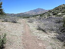 photo thumbnail #12