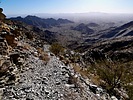 photo thumbnail #9
