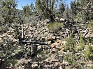 photo thumbnail #2