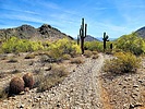 photo thumbnail #15