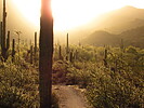 photo thumbnail #1