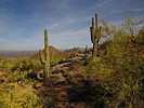 photo thumbnail #7