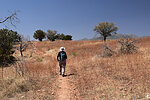 photo thumbnail #2