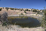 photo thumbnail #9