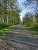 photo thumbnail #2