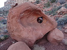 photo thumbnail #15