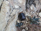 photo thumbnail #12