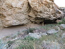 photo thumbnail #14