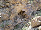 photo thumbnail #15