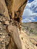 photo thumbnail #9