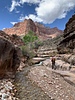 photo thumbnail #12