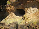 photo thumbnail #11