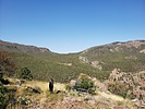 photo thumbnail #9