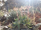 photo thumbnail #15