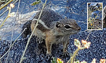 photo thumbnail #3