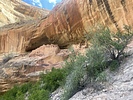 photo thumbnail #8