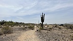 photo thumbnail #6