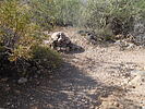 photo thumbnail #3