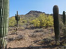 2022-04-24 :1: Pass Mountain Loop Trail #282 :: astrobrewer