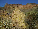 photo thumbnail #6