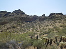 photo thumbnail #10