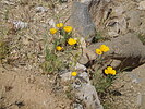 photo thumbnail #13