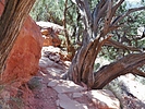 photo thumbnail #12
