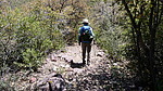 photo thumbnail #1