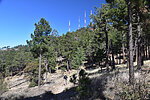 photo thumbnail #2
