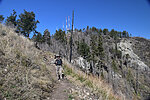 photo thumbnail #4