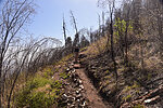 photo thumbnail #5