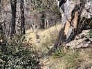 photo thumbnail #13