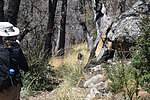 photo thumbnail #12