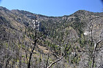 photo thumbnail #14