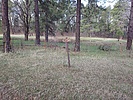 Featured Full Photo
