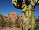photo thumbnail #2