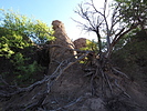 photo thumbnail #4