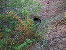 photo thumbnail #9
