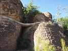 photo thumbnail #13