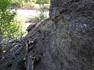 photo thumbnail #14