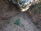 photo thumbnail #15