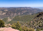 2022-05-01 :2: Reynolds Creek Trail #150 :: 00blackout