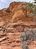 photo thumbnail #7