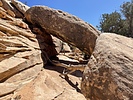 photo thumbnail #4