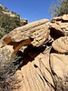 photo thumbnail #5
