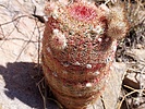 photo thumbnail #8